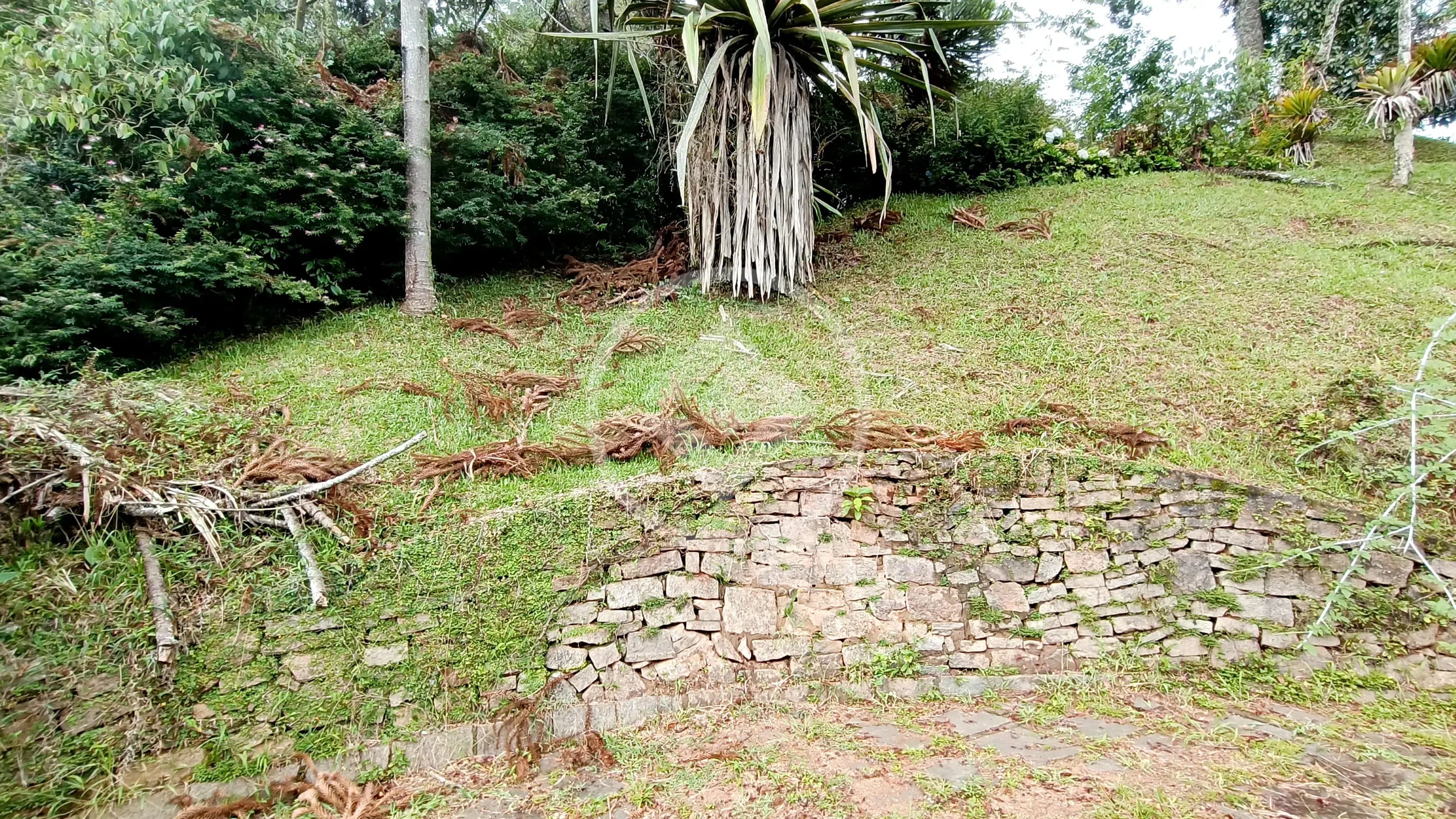 Terreno no Parque do Ingá, Teresópolis — foto 5 de 6