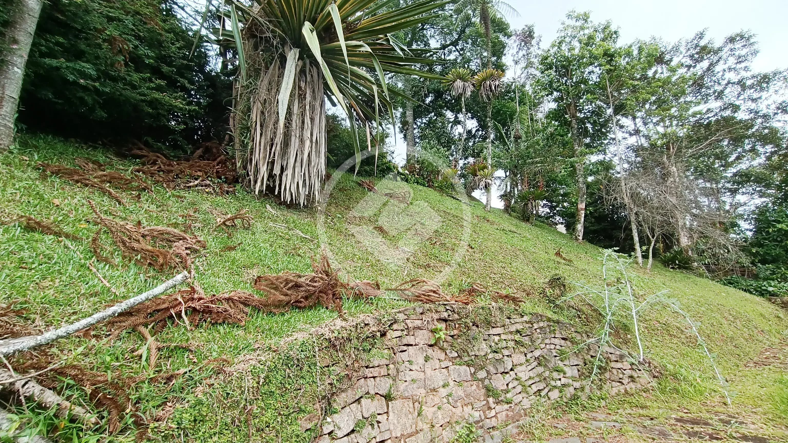 Terreno no Parque do Ingá, Teresópolis — foto 6 de 6