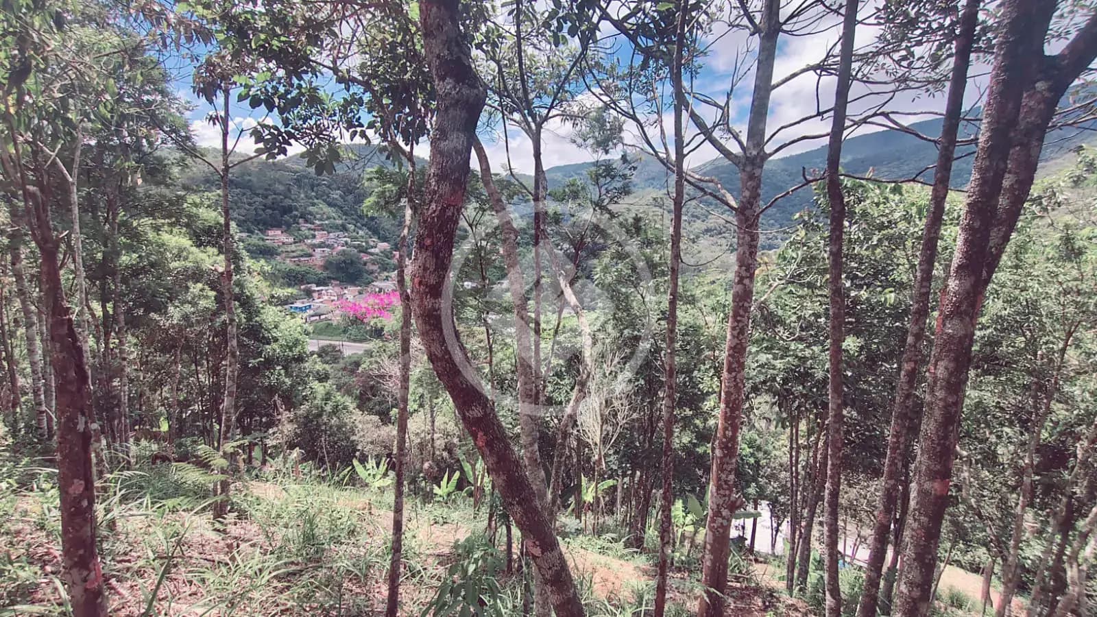 Terreno no Vale do Paraíso, Teresópolis — foto 6 de 6