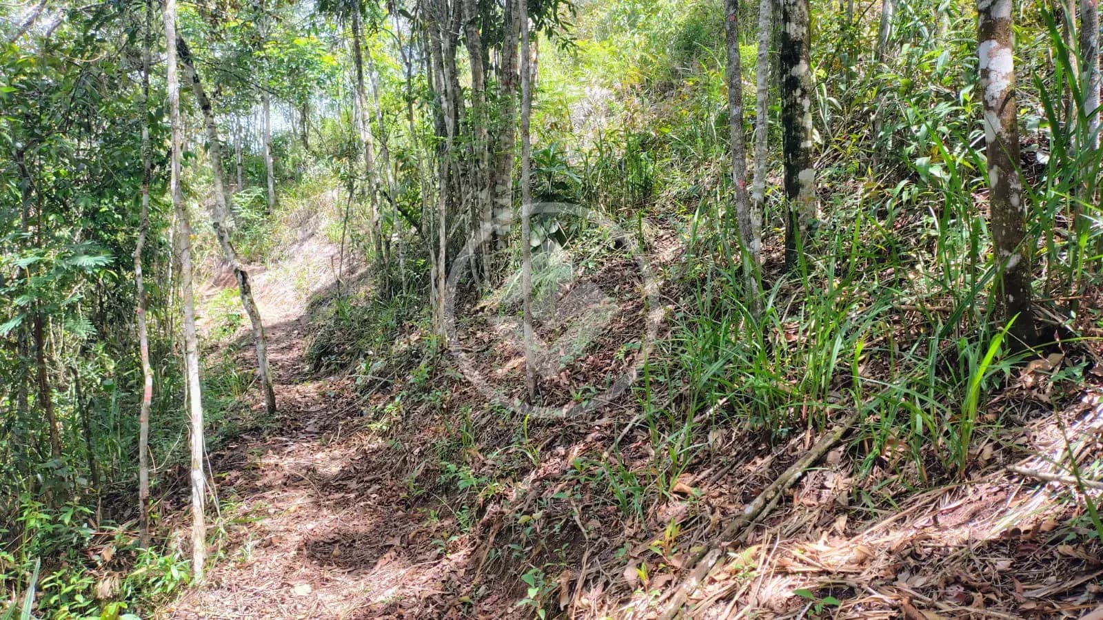 Terreno no Vale do Paraíso, Teresópolis — foto 3 de 6