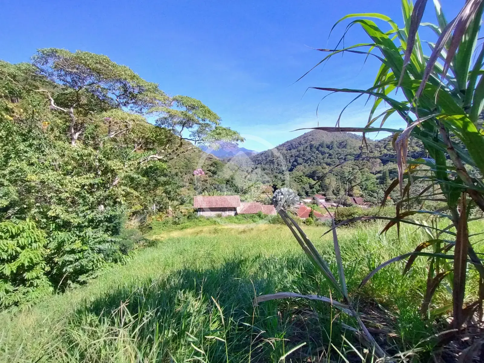 Terreno Condomínio Albuquerque, Teresópolis - RJ — foto 2