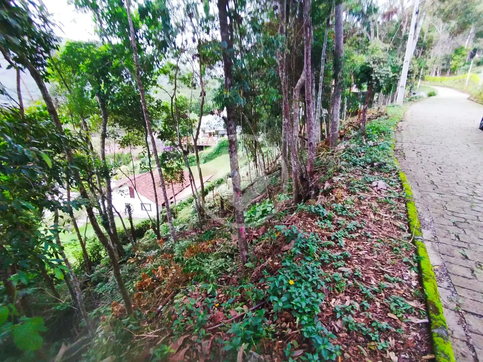 Terreno Condomínio no Parque do Imbui, Teresópolis — foto 3 de 6