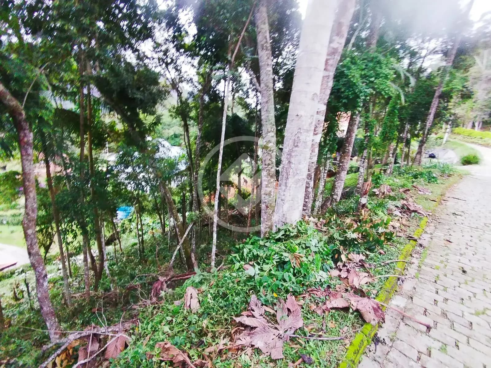 Terreno Condomínio no Parque do Imbui, Teresópolis — foto 4 de 6