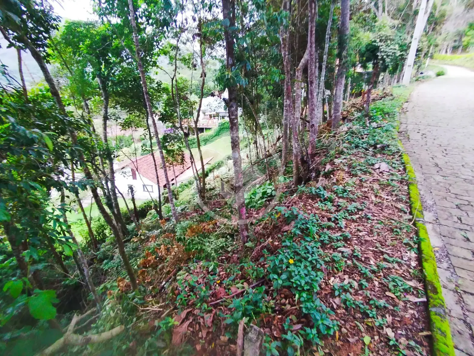 Terreno Condomínio no Parque do Imbui, Teresópolis — foto 6 de 6