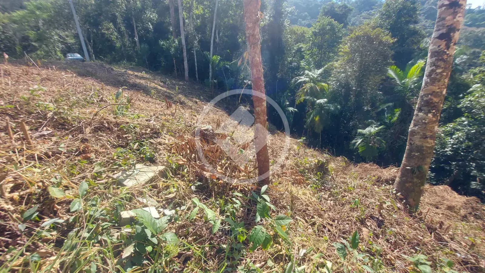 Terreno Condomínio Quebra Frascos, Teresópolis - RJ — foto 2