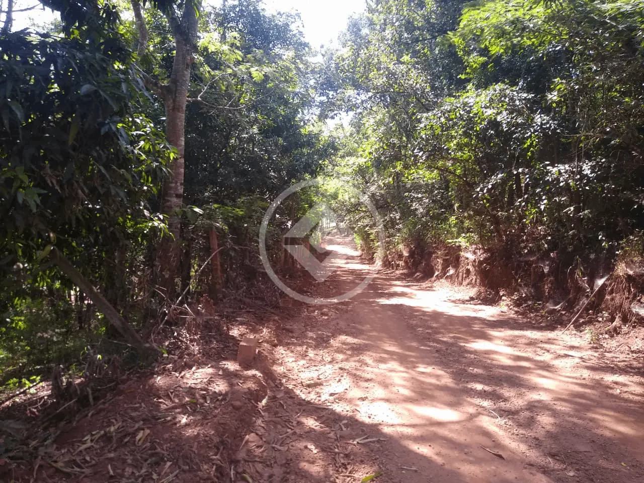 Chácara no Área Rural de Uberlândia, Uberlândia — foto 4 de 6