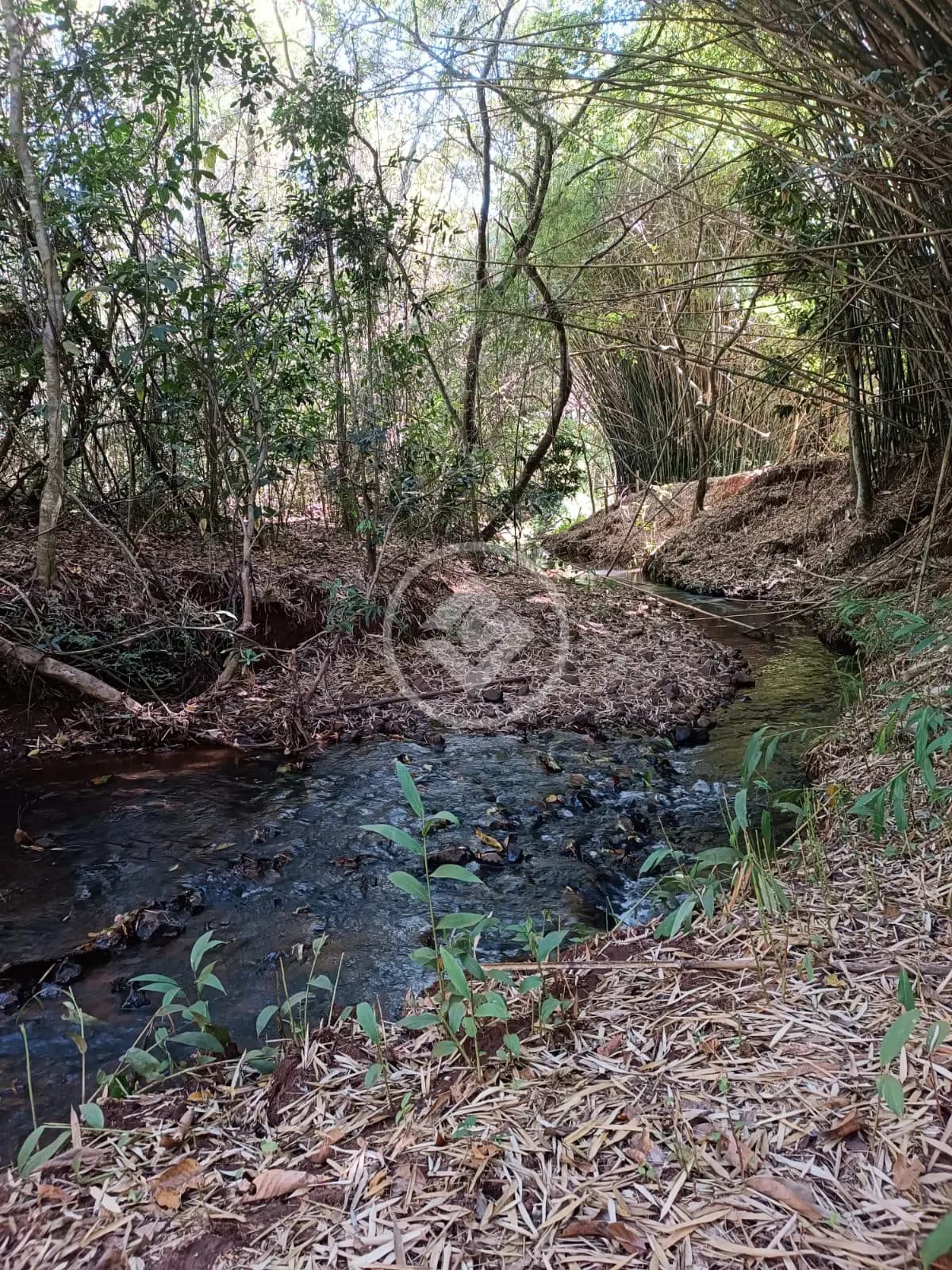 Sítio 2 quartos no Área Rural de Uberlândia, Uberlândia — foto 3 de 6