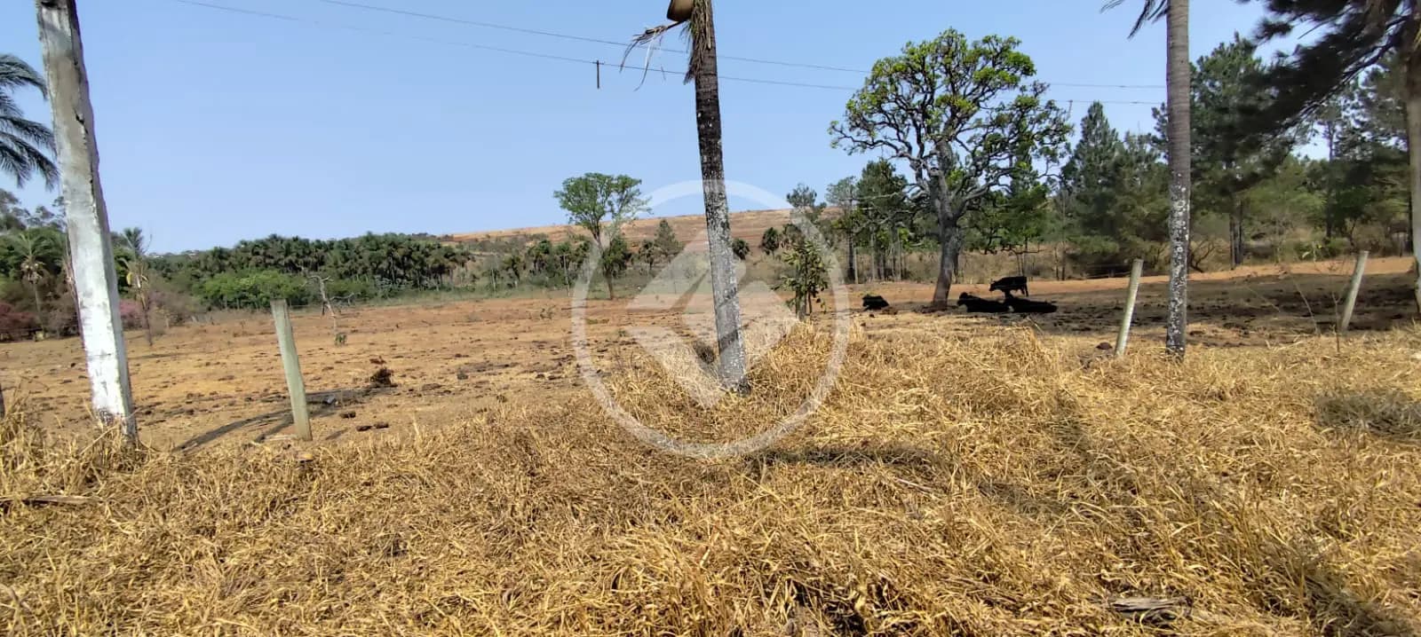 Chácara no Área Rural de Uberlândia, Uberlândia — foto 4 de 6