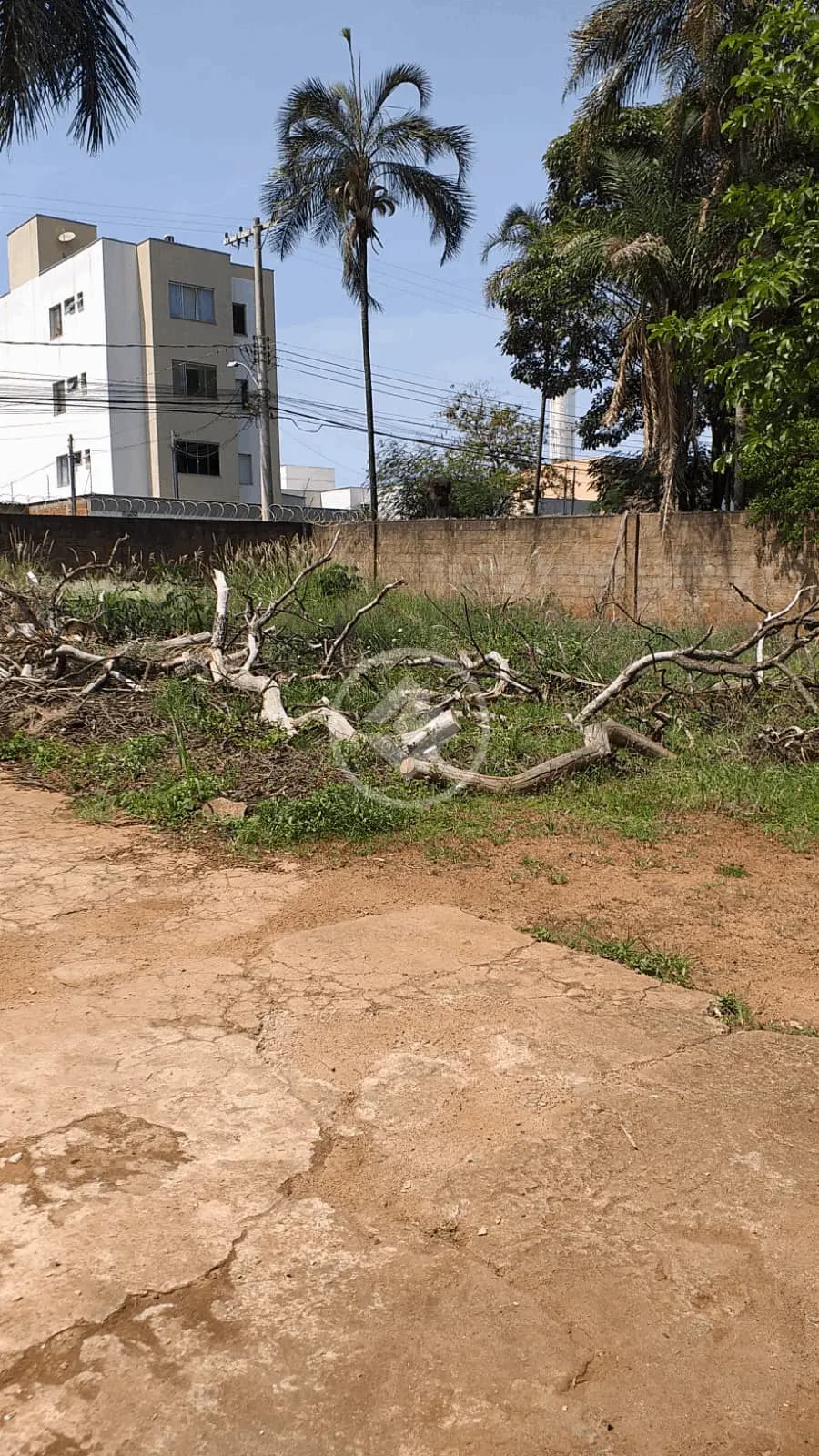 Terreno no Chácaras Tubalina e Quartel, Uberlândia — foto 5 de 6
