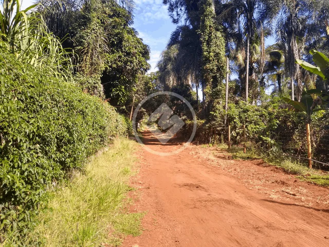 Chácara no Área Rural de Uberlândia, Uberlândia — foto 3 de 6