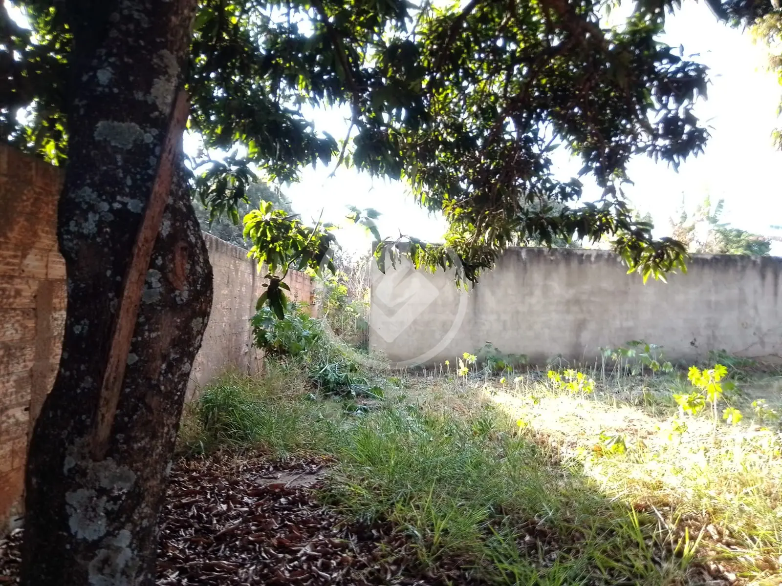 Terreno Morada Nova, Uberlândia - MG — foto 1