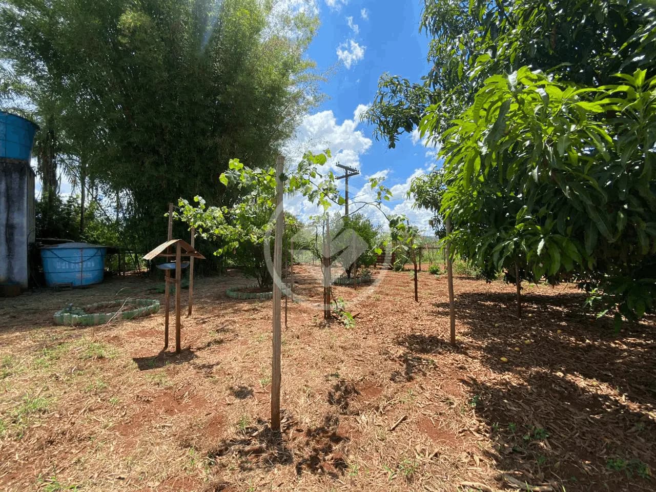 Chácara 3 quartos no Área Rural de Uberlândia, Uberlândia — foto 5 de 6