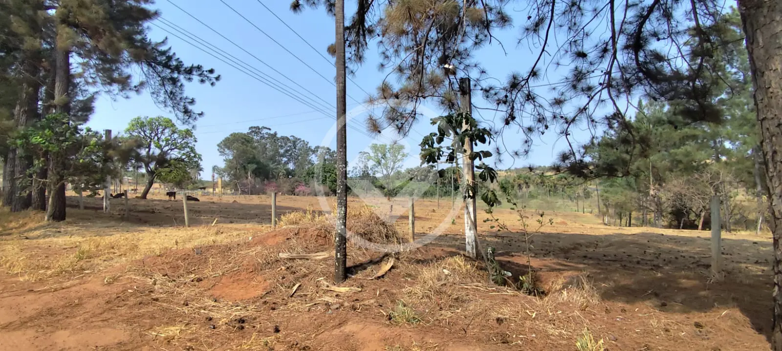 Chácara no Área Rural de Uberlândia, Uberlândia — foto 3 de 6