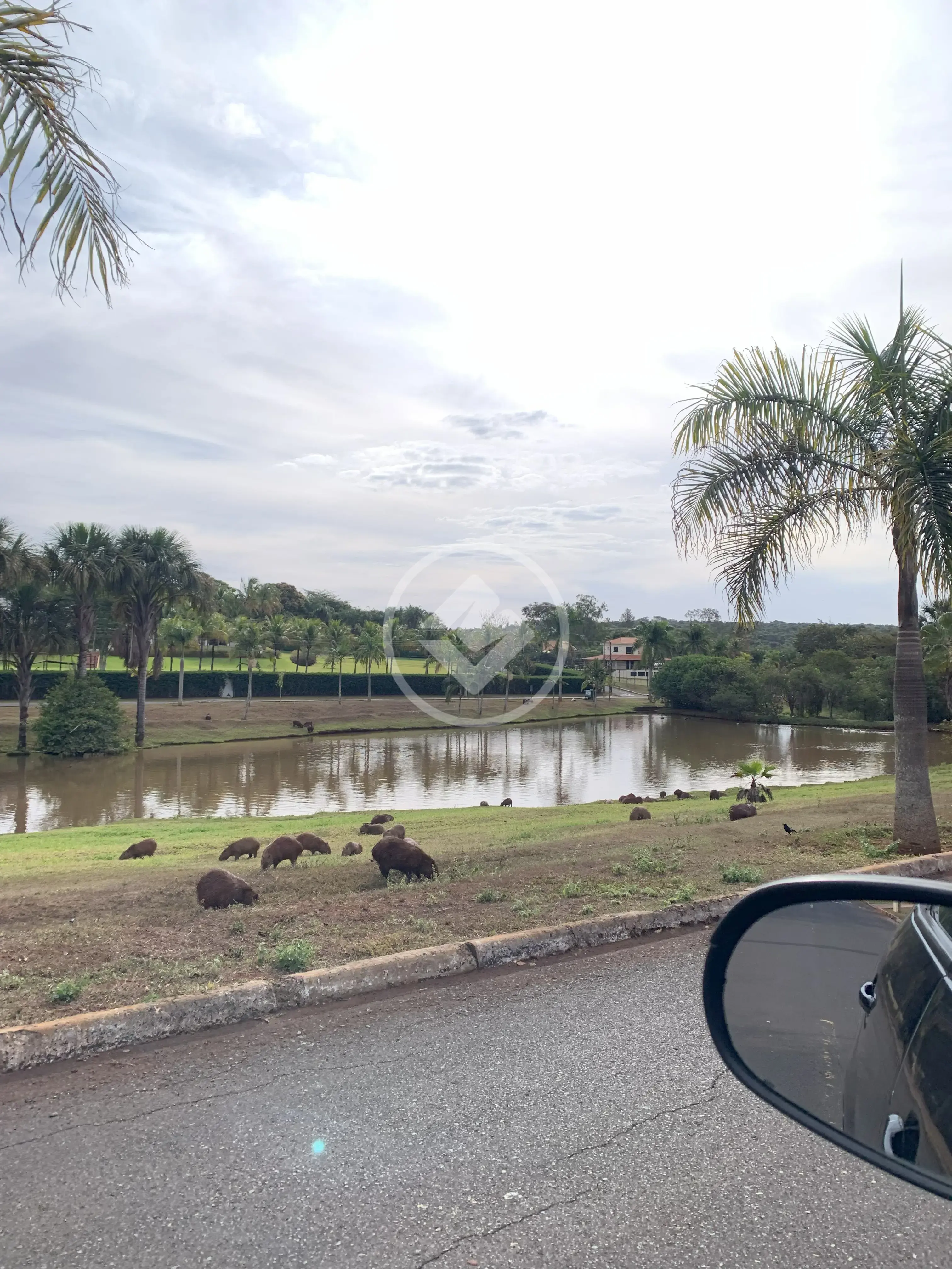 Casa Condomínio 5 quartos no Morada do Sol, Uberlândia — foto 4 de 6