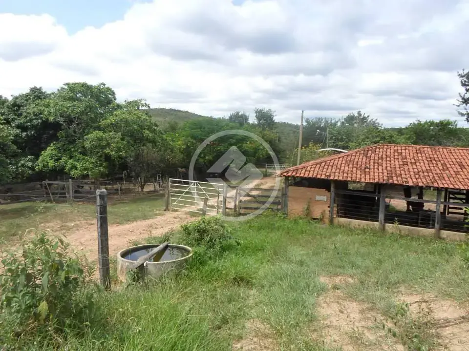 Fazenda no Zona Rural, Abadia dos Dourados — foto 5 de 6