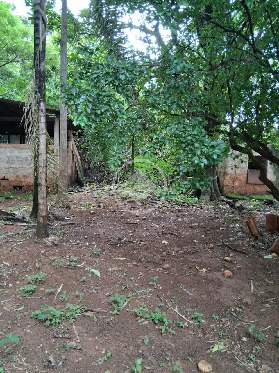 Terreno no Chácaras Panorama, Uberlândia — foto 5 de 6
