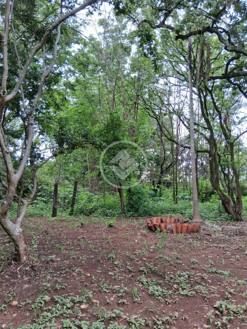 Terreno no Chácaras Panorama, Uberlândia — foto 6 de 6