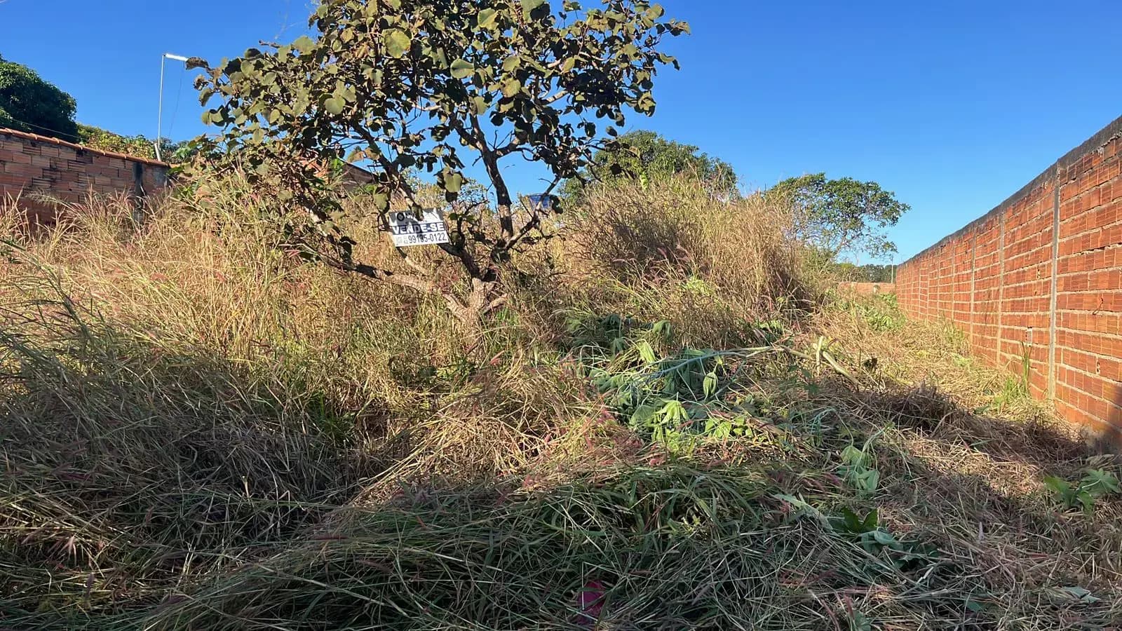 Terreno Jardim Sao Conrado, Aparecida de Goiânia - GO — foto 2
