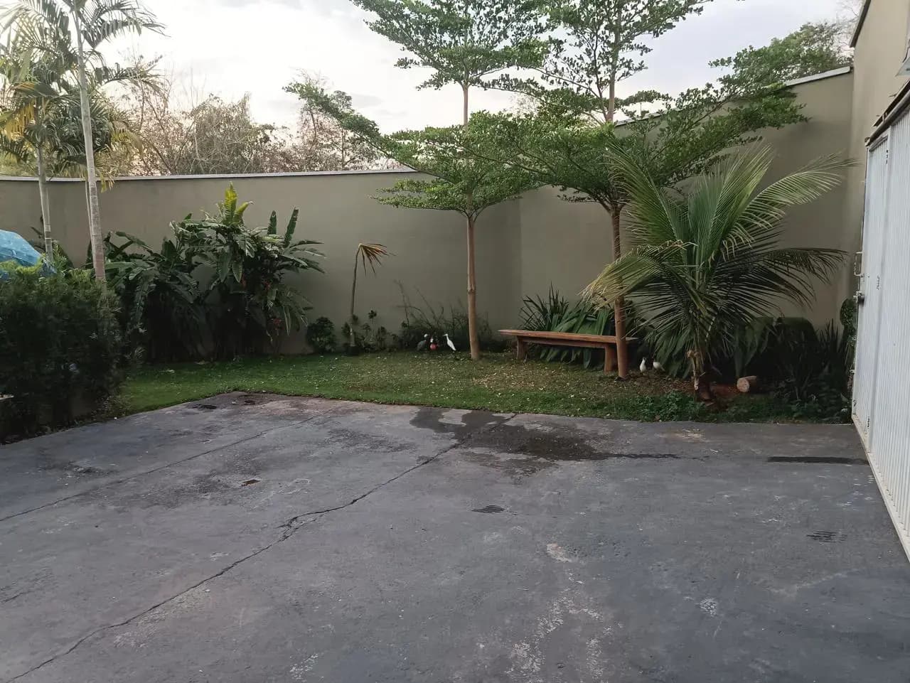 Grande oportunidade