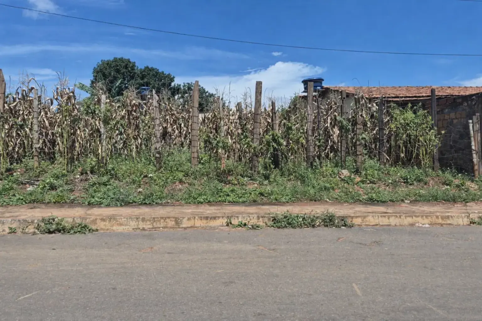 Terreno Setor Garavelo, Aparecida de Goiânia - GO — foto 2