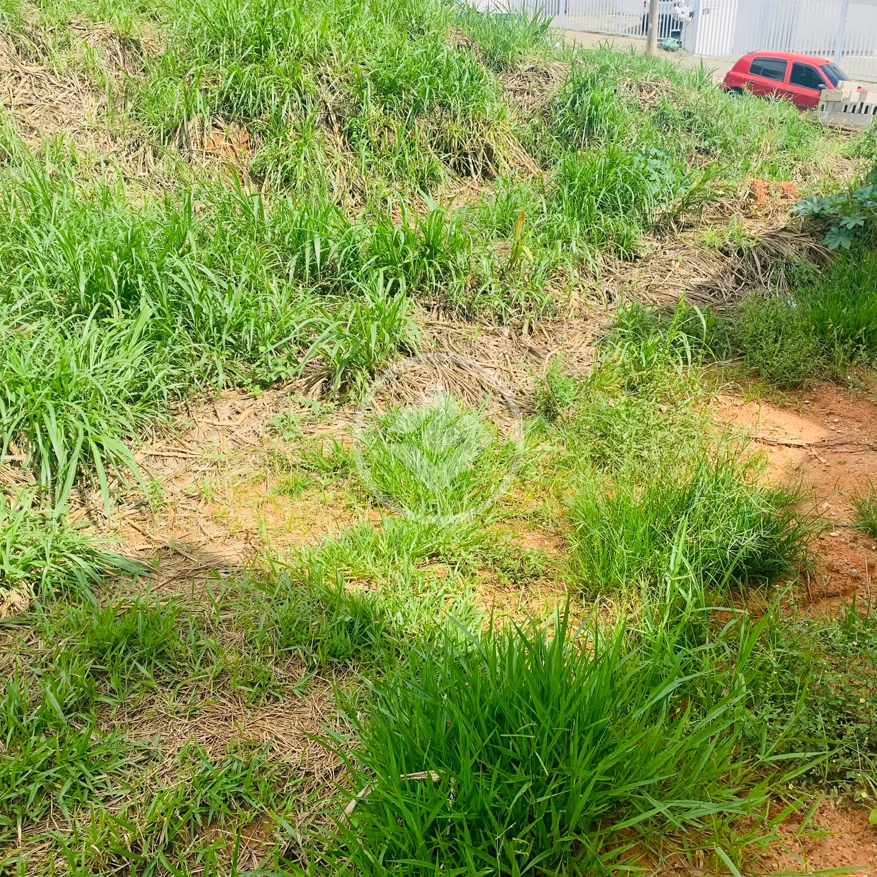 Terreno no Capela, Vinhedo — foto 5 de 6