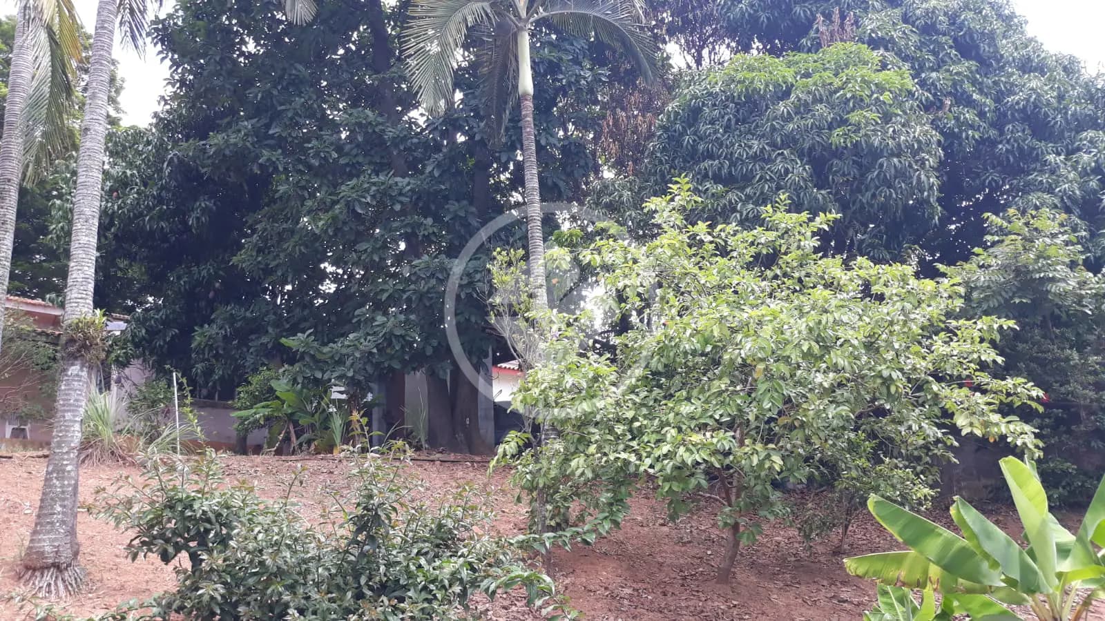 Casa 2 quartos no Santa Rosa, Vinhedo — foto 4 de 6