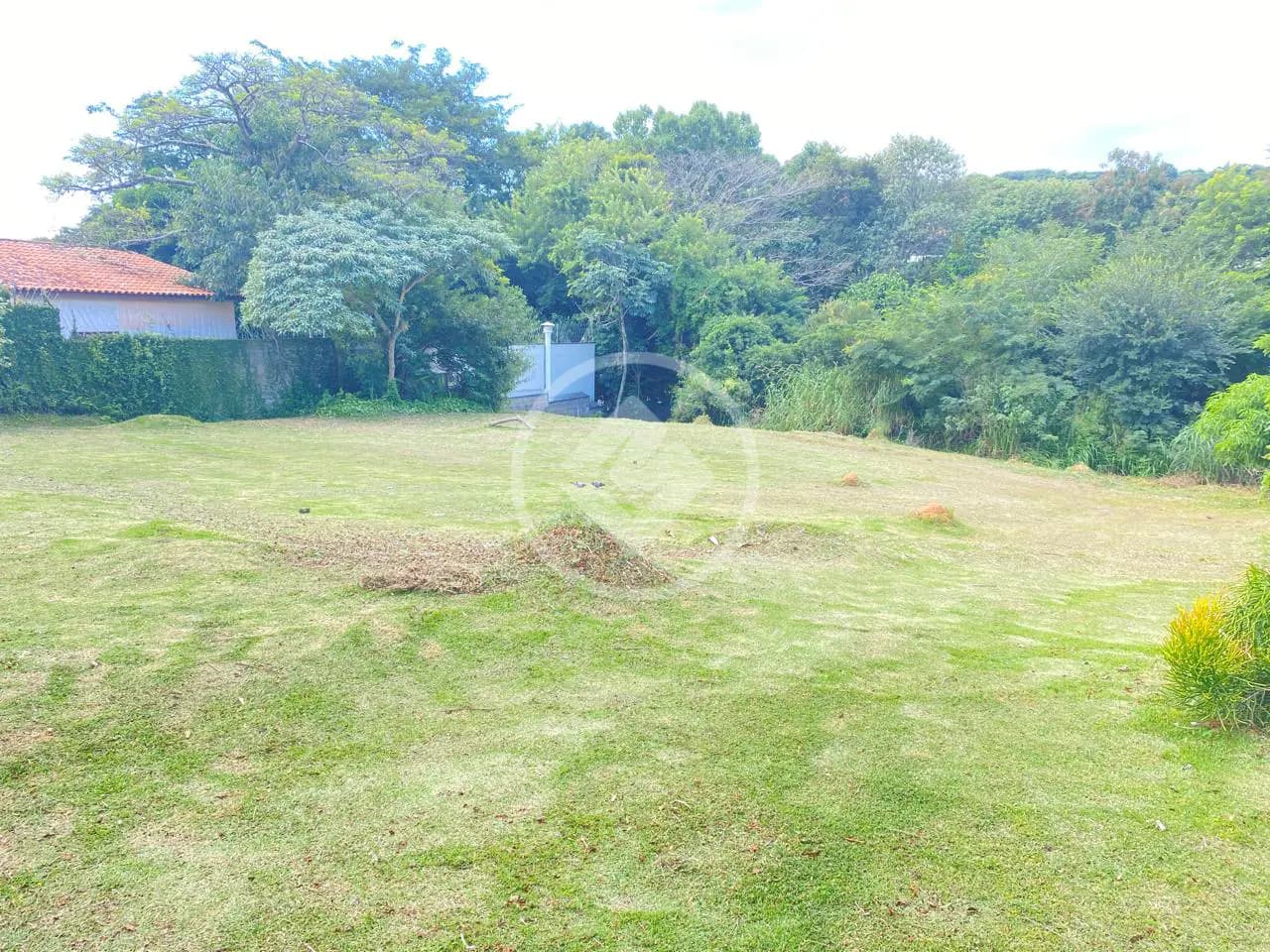 Terreno Condomínio no Bosque, Vinhedo — foto 4 de 6