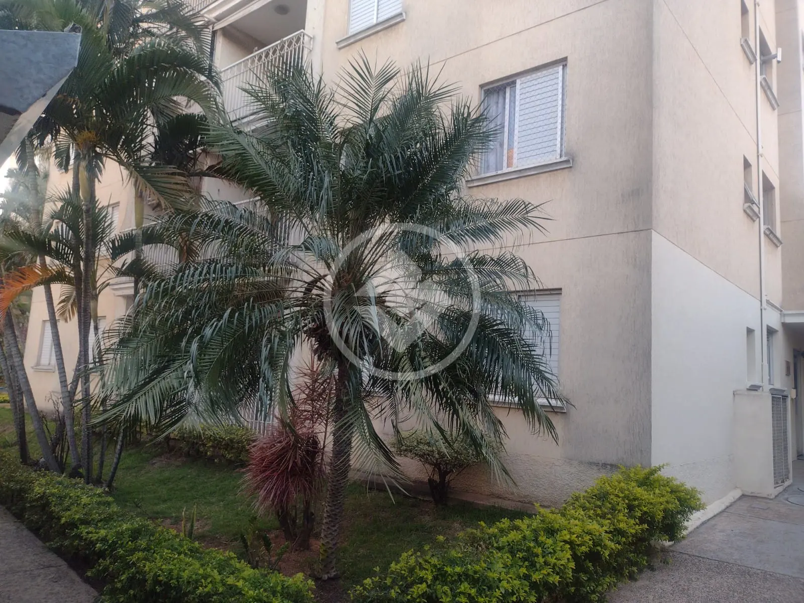 Apartamento Vila Nova Teixeira, Campinas - SP — foto 2
