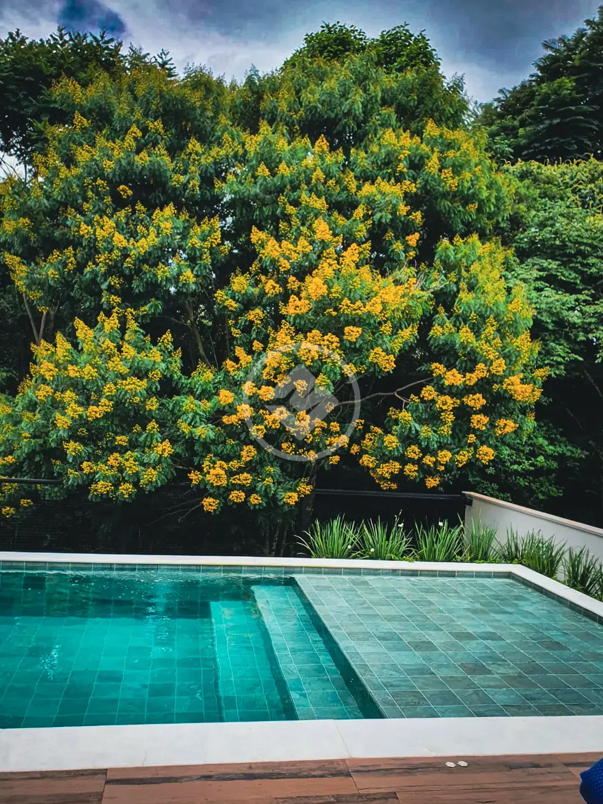 Casa Condomínio 4 quartos no Bosque, Vinhedo — foto 4 de 6