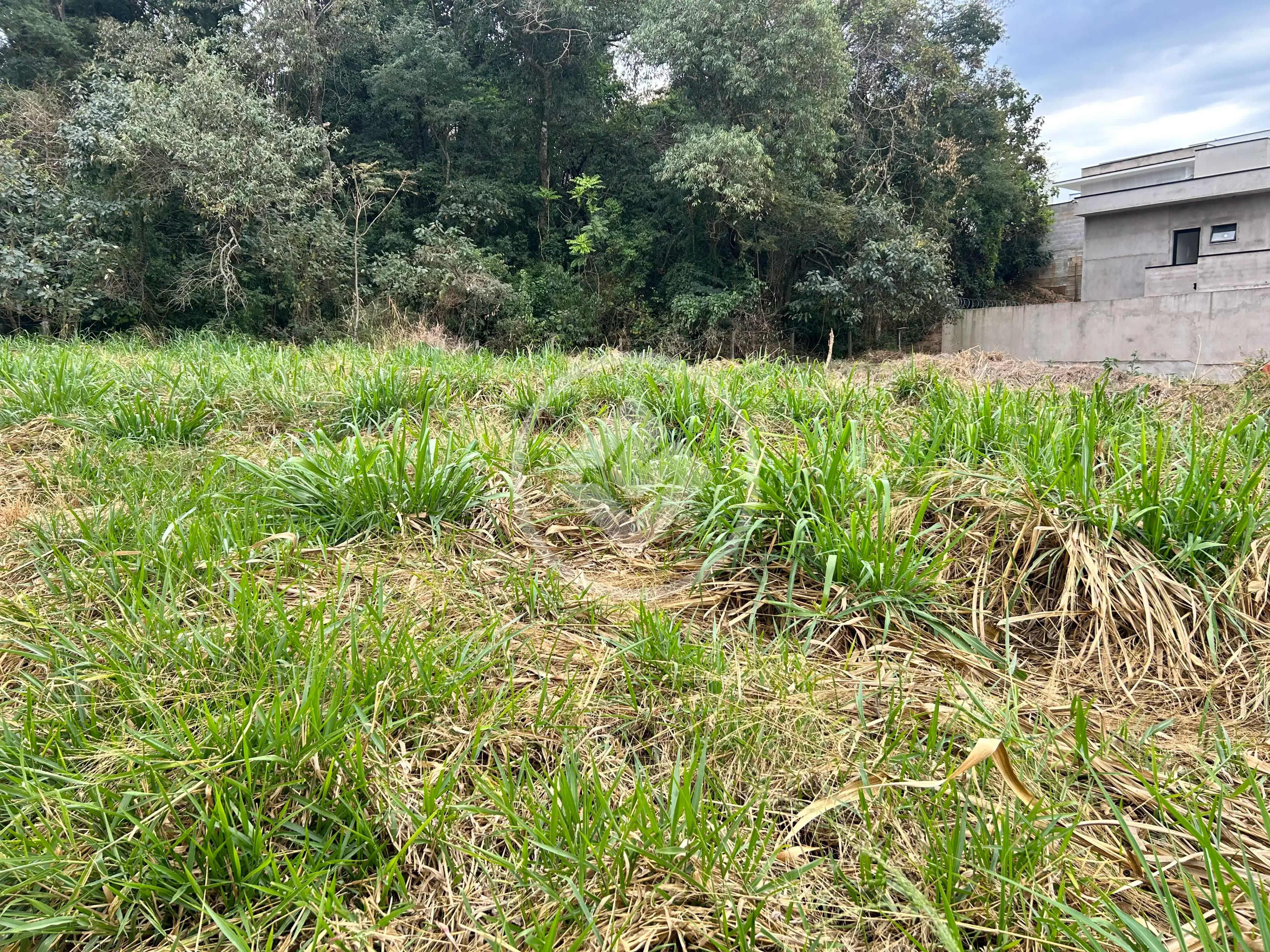 Terreno Pinheirinho, Vinhedo - SP — foto 1