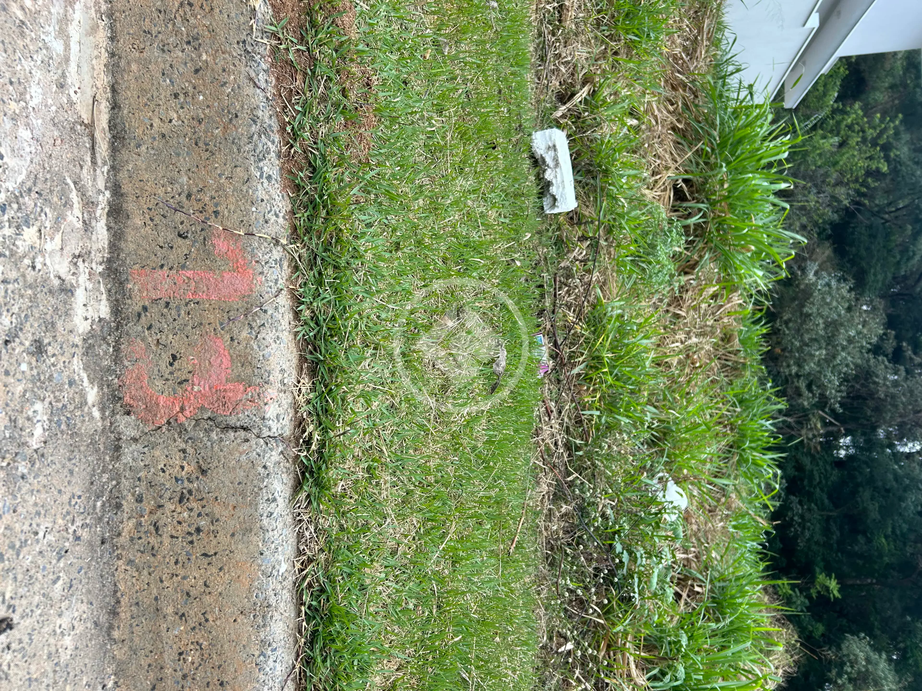 Terreno no Pinheirinho, Vinhedo — foto 5 de 6