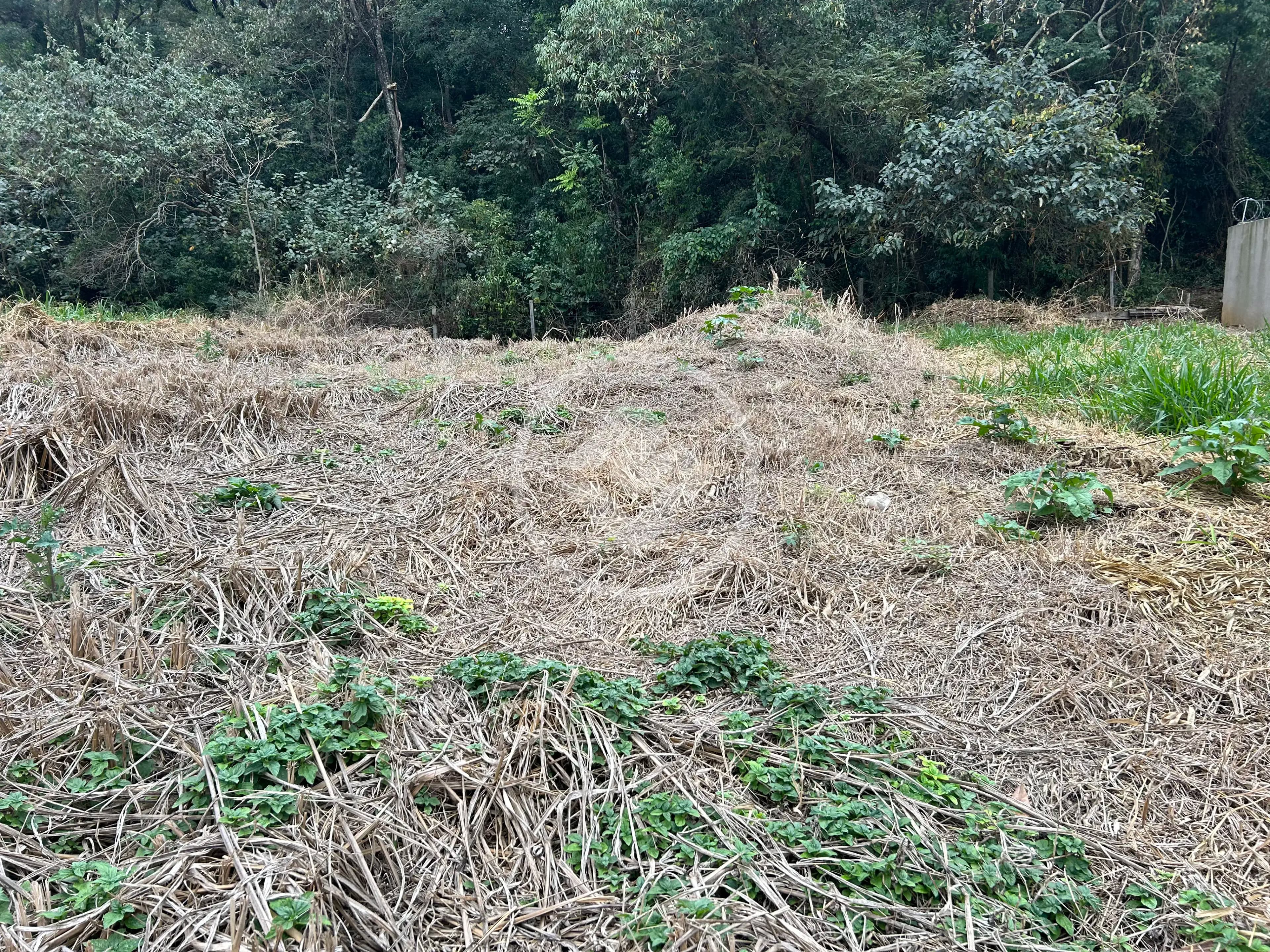 Terreno no Pinheirinho, Vinhedo — foto 6 de 6