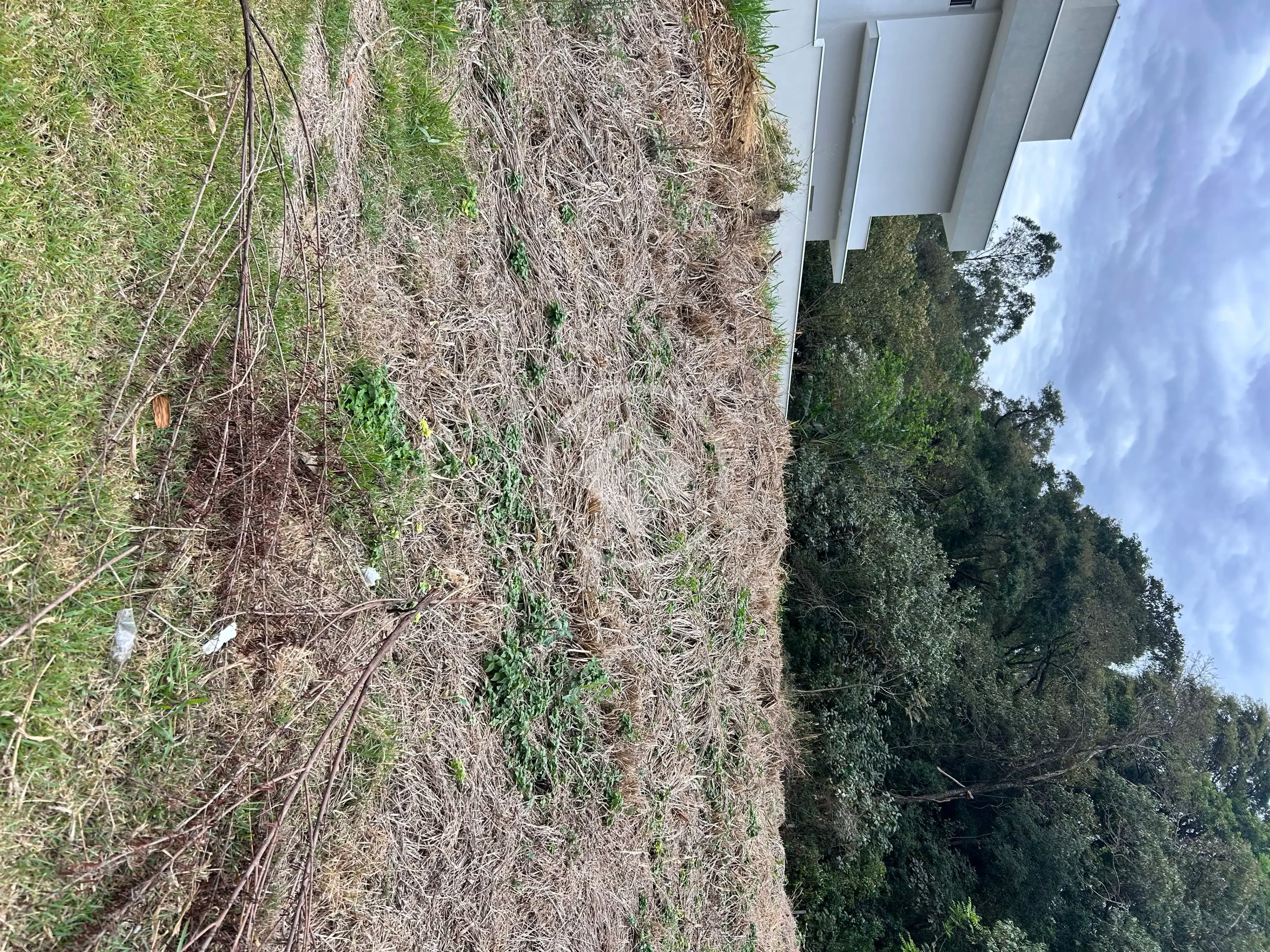 Terreno no Pinheirinho, Vinhedo — foto 3 de 6