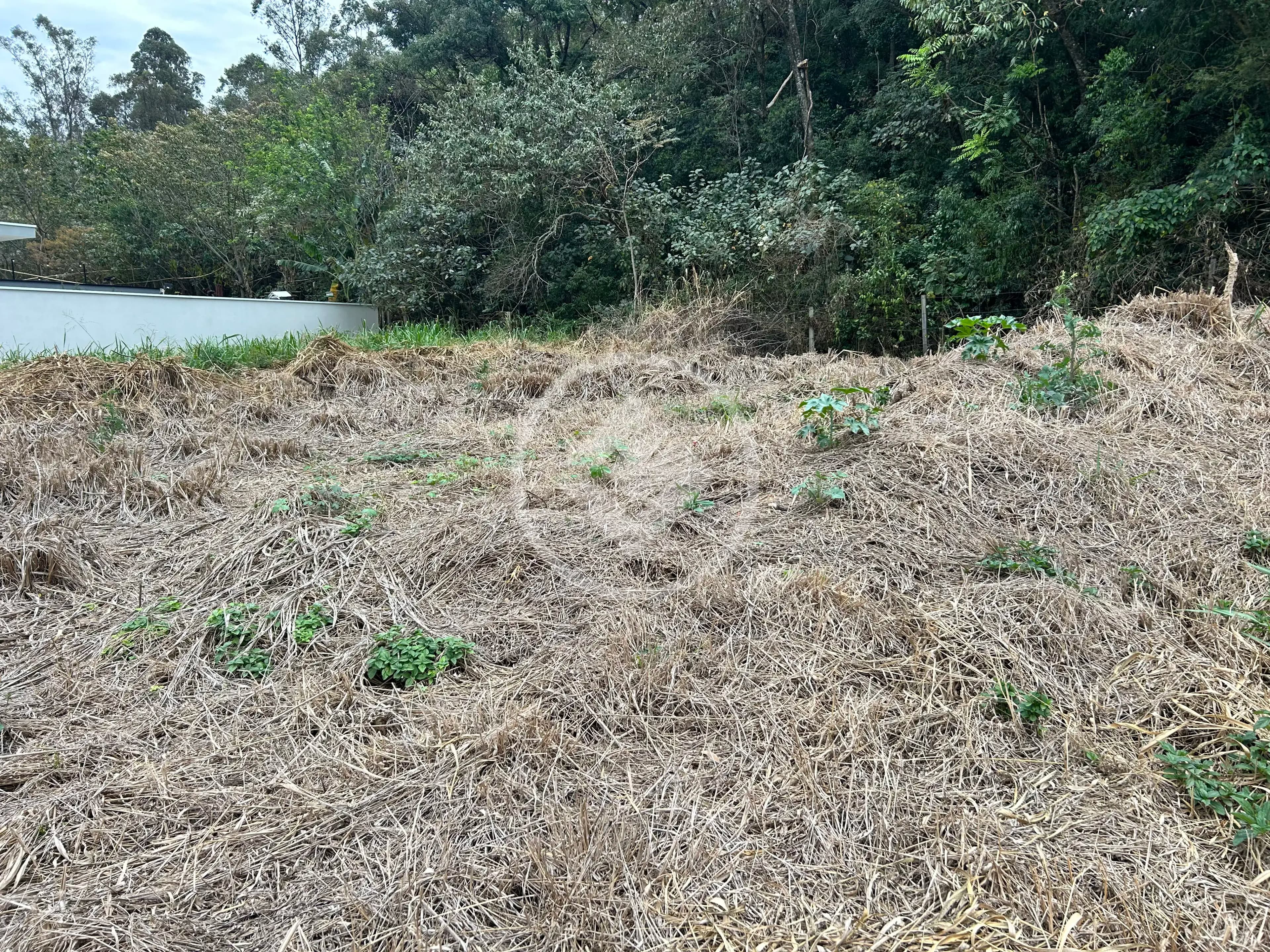 Terreno no Pinheirinho, Vinhedo — foto 4 de 6