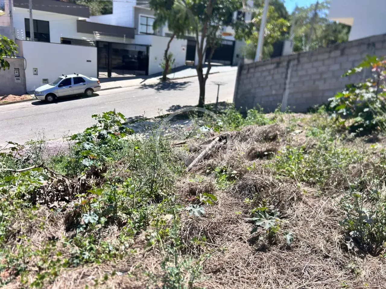 Terreno Bosque, Vinhedo - SP — foto 1