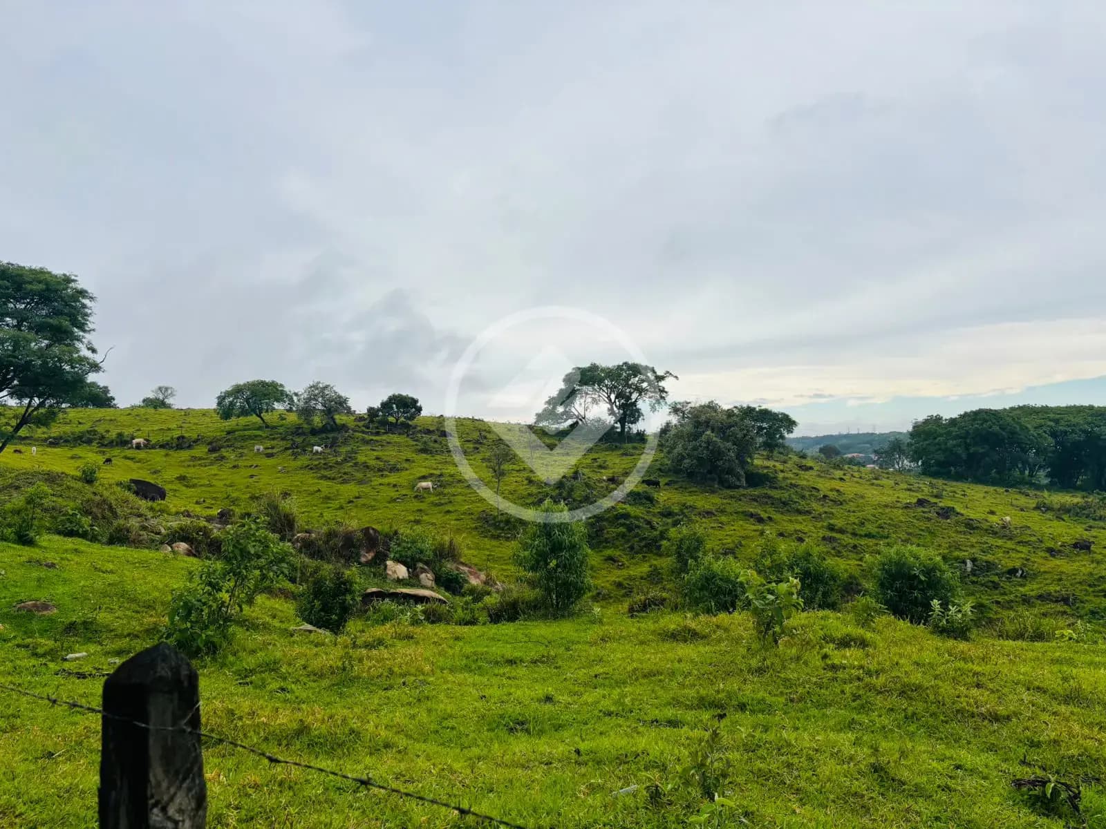 Terreno Comercial no Monte Alegre, Vinhedo — foto 4 de 6
