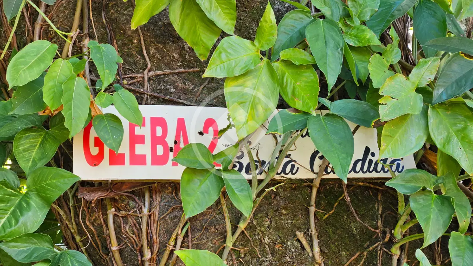 Terreno no Santa Cândida, Vinhedo — foto 6 de 6