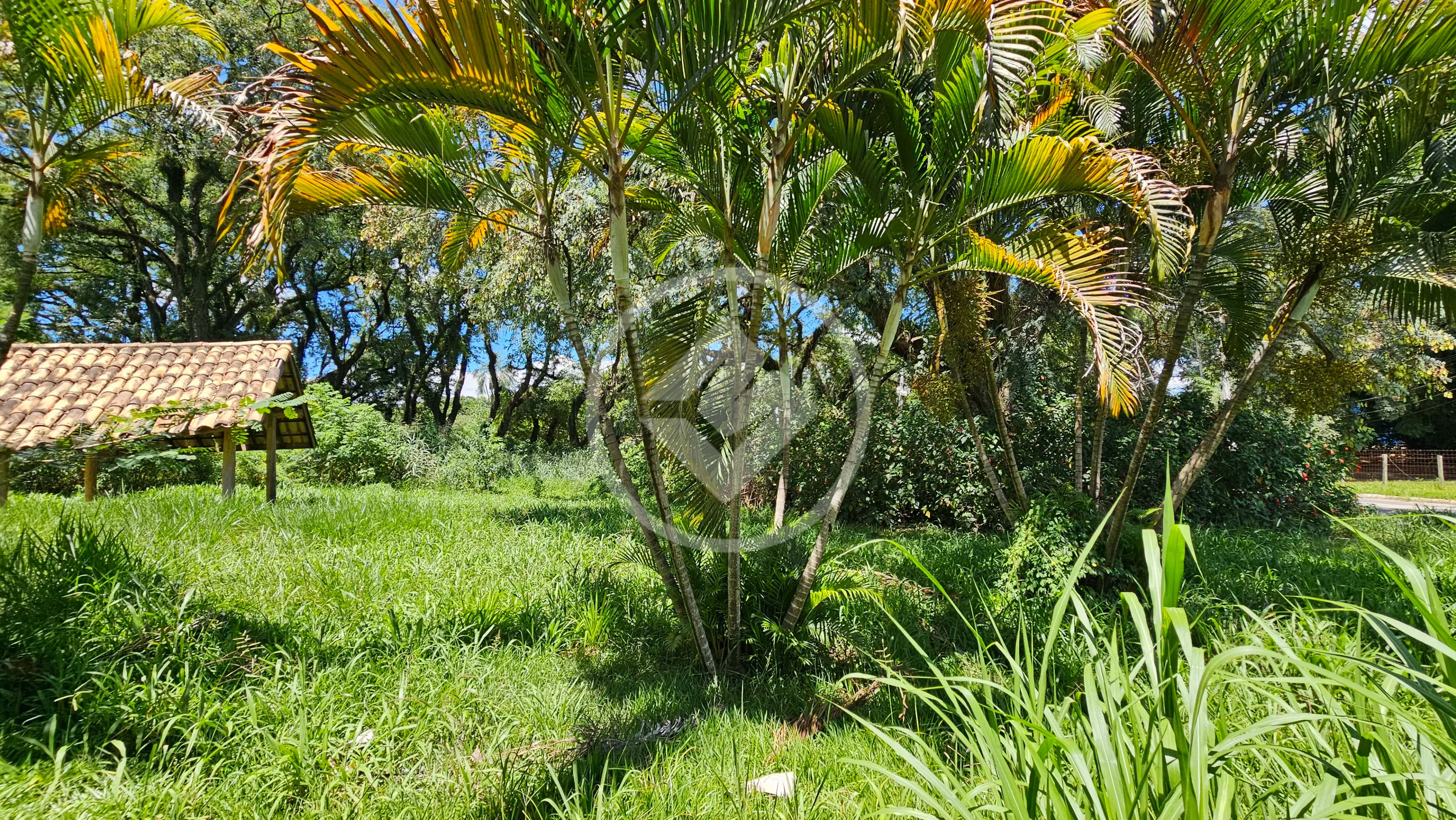 Terreno no Santa Cândida, Vinhedo — foto 3 de 6