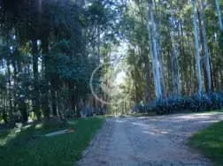 Fazenda 26 quartos no Medeiros, Jundiaí — foto 4 de 6