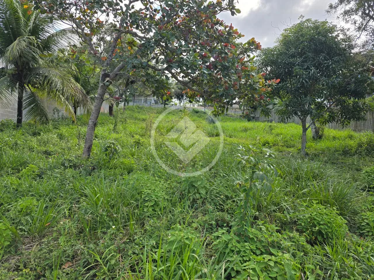 Terreno no Comunidade Urbana de Palmeiras, Guarapari — foto 5 de 6